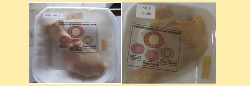 Embalagem ativa, frango, deterioração